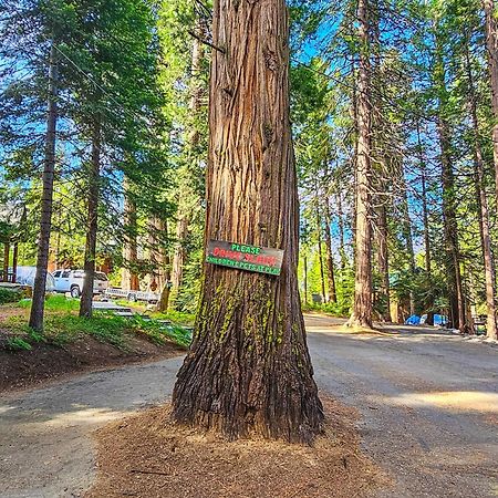 Water'S Edge Retreat Villa Shaver Lake Exterior foto