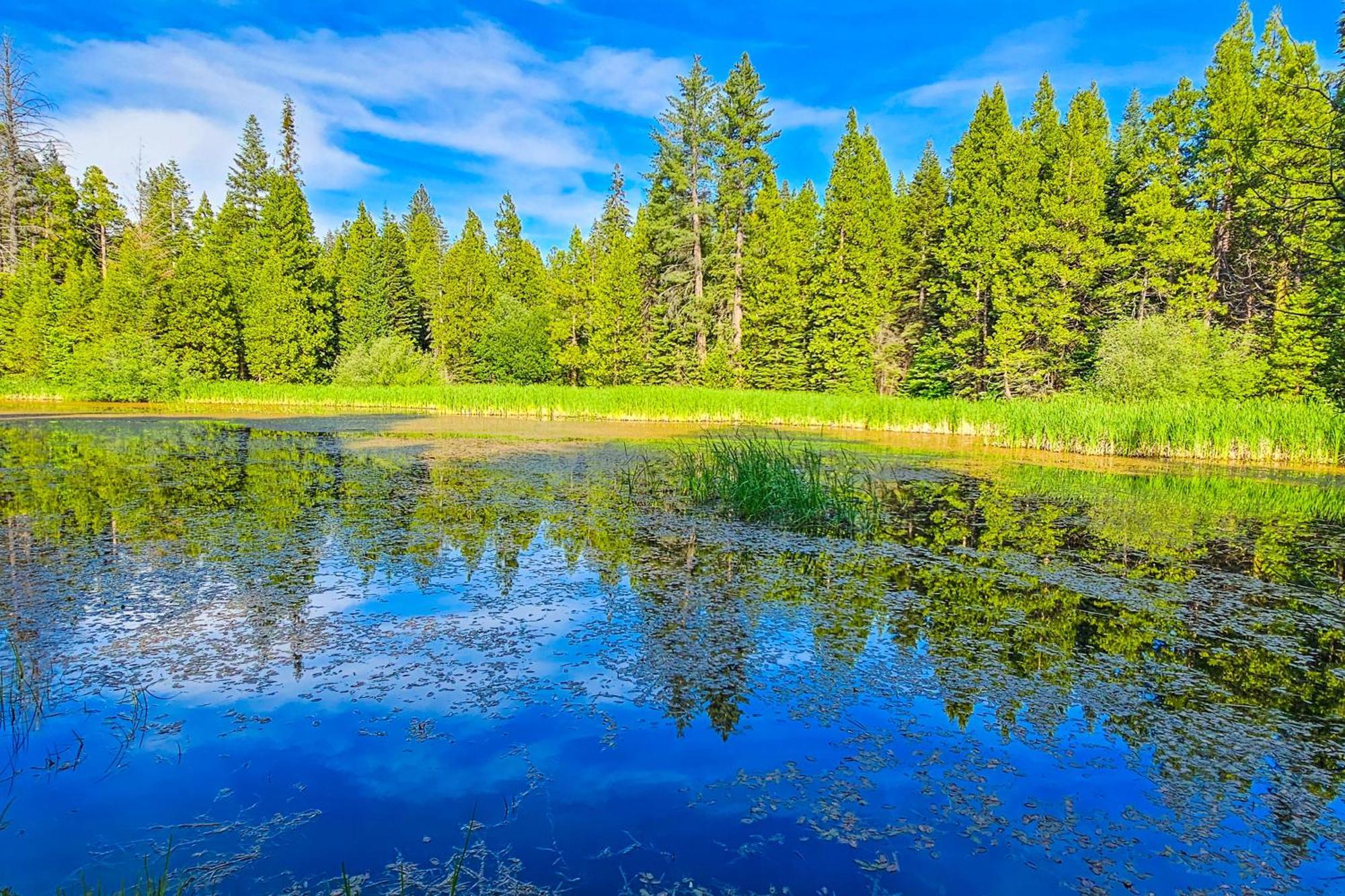 Water'S Edge Retreat Villa Shaver Lake Exterior foto